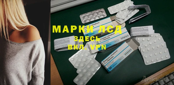 амф Новодвинск