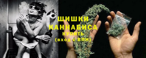 прущие крисы Новокубанск